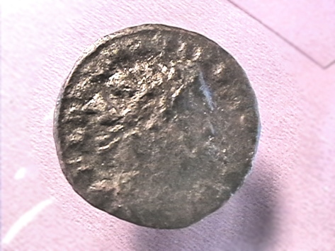 My-First-Delmatius