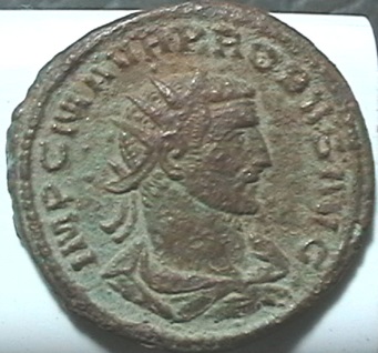 Probus