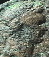 Guess-The-Emperor,-Caesar,-Or-Empress