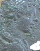 Guess-The-Emperor,-Caesar,-Or-Empress