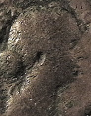 Guess-The-Emperor,-Caesar,-Or-Empress