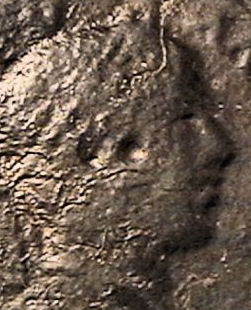 Guess-The-Emperor,-Caesar,-Or-Empress