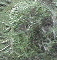 Guess-The-Emperor-Revisted