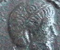 Guess-The-Emperor-Revisted