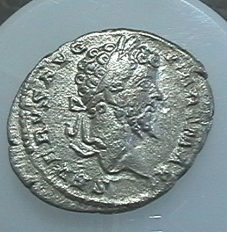 Smackdown-Xv:-Eruption-Coins