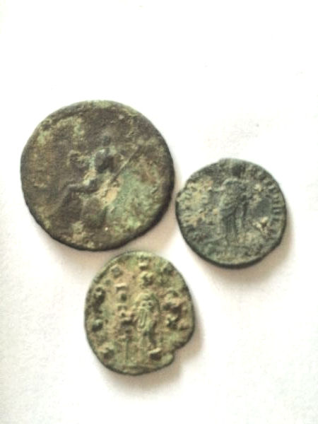 Help-With-ID-Please