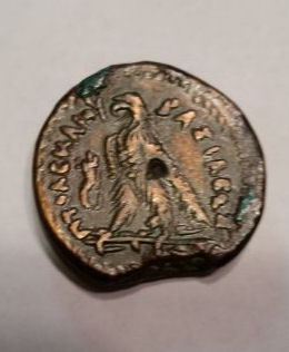 Greek-Or-Roman-Individual-Pictures.-Help!