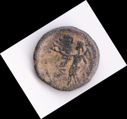 Help-With-Identification-Please---2