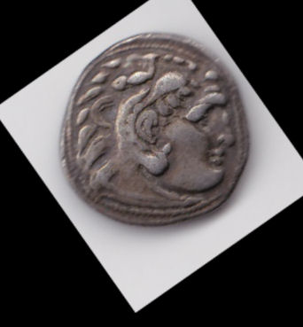 Help-With-Identification-Please---1