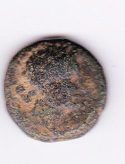 Help-With-Identification-Please---2