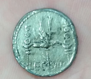 Unidentified-Longboat-Coin?