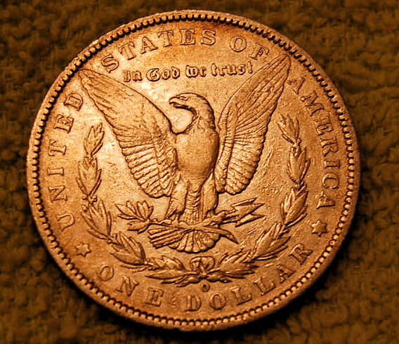 Please-Grade-These-Two-Morgans.