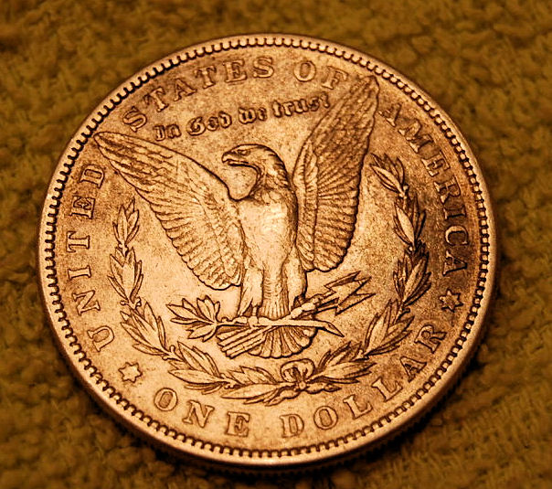 Please-Grade-These-Two-Morgans.