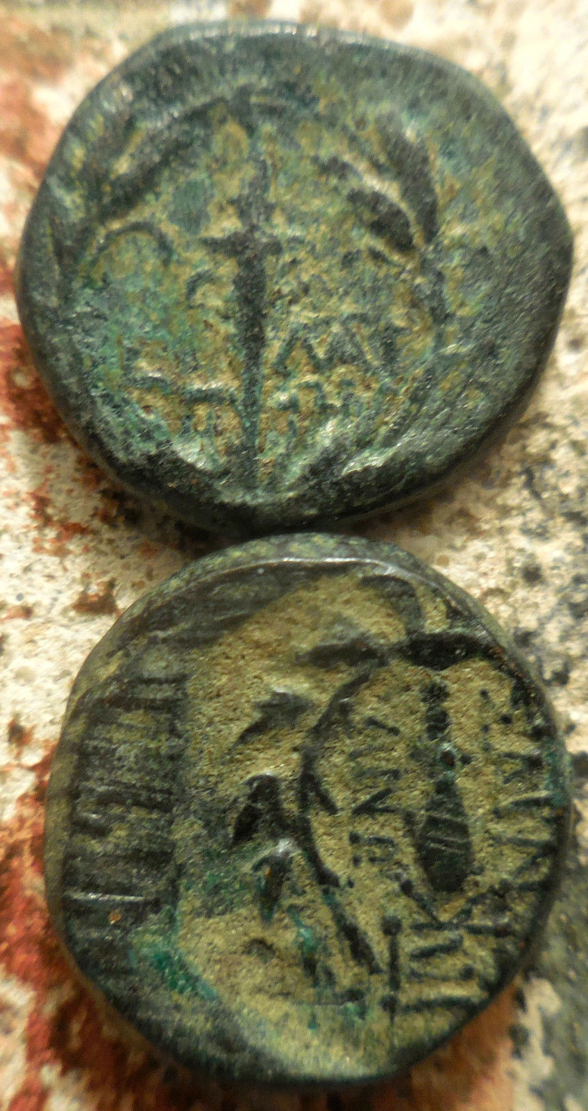Showcase-Your-Budget-Ancients:-$10---25-Edition