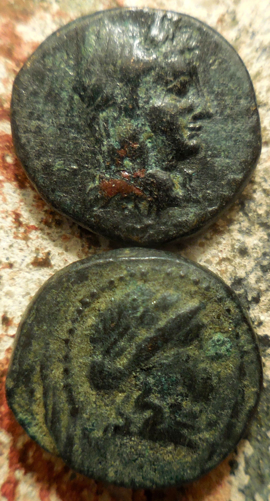 Showcase-Your-Budget-Ancients:-$10---25-Edition