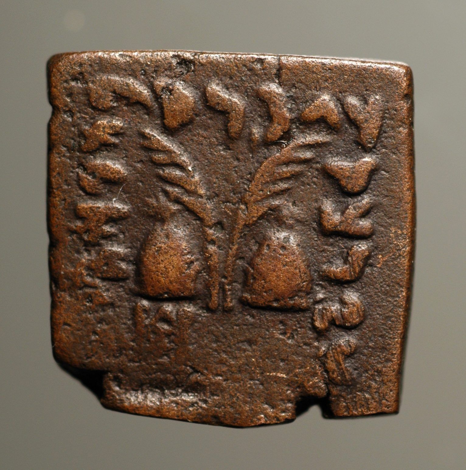 Indo-Greek-King-Of-Baktria-Antialcidas