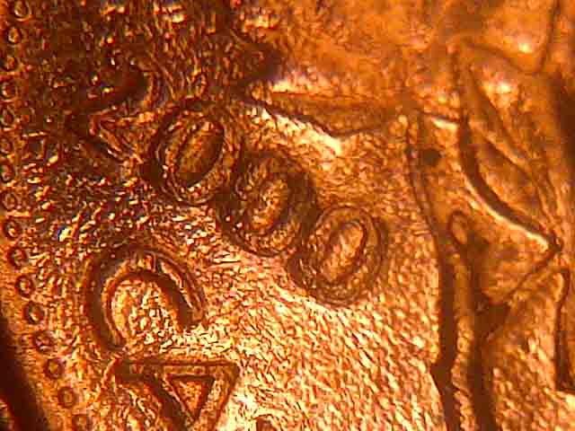 Canadian-2000--Pennie..-What-Happen-Here?