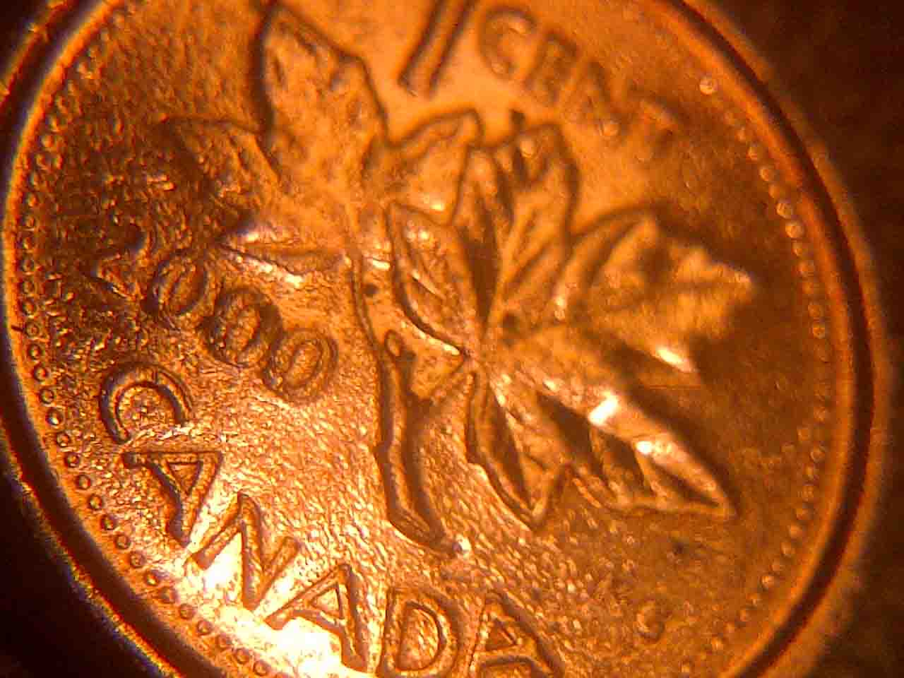Canadian-2000--Pennie..-What-Happen-Here?