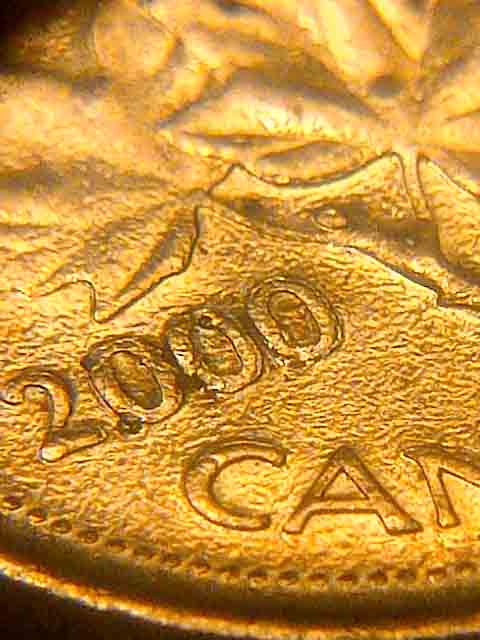 Canadian-2000--Pennie..-What-Happen-Here?