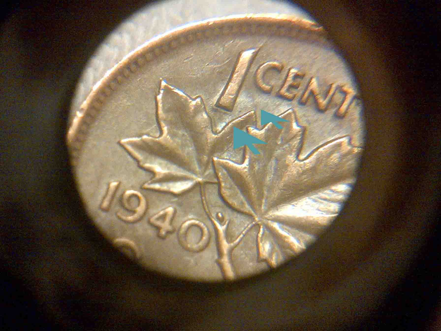 1940-1944-1943-What-Varieties-Are-These