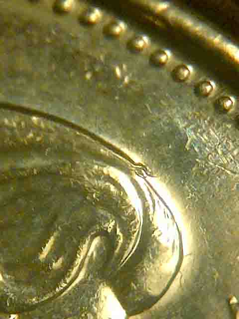 2013-Loonie