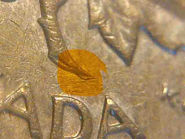My-Last-Boxes-Of-Pennies--Heres-Is-My-Finds