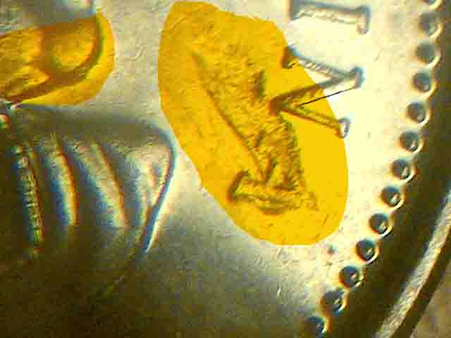 Some-Lamination-Errors-/Struck-Through