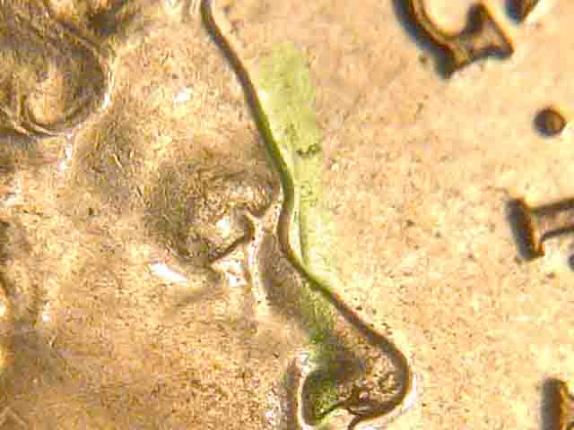 2010-Britain-Error-Penny
