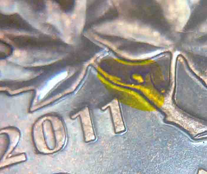 2011-Canadian-Pennie
