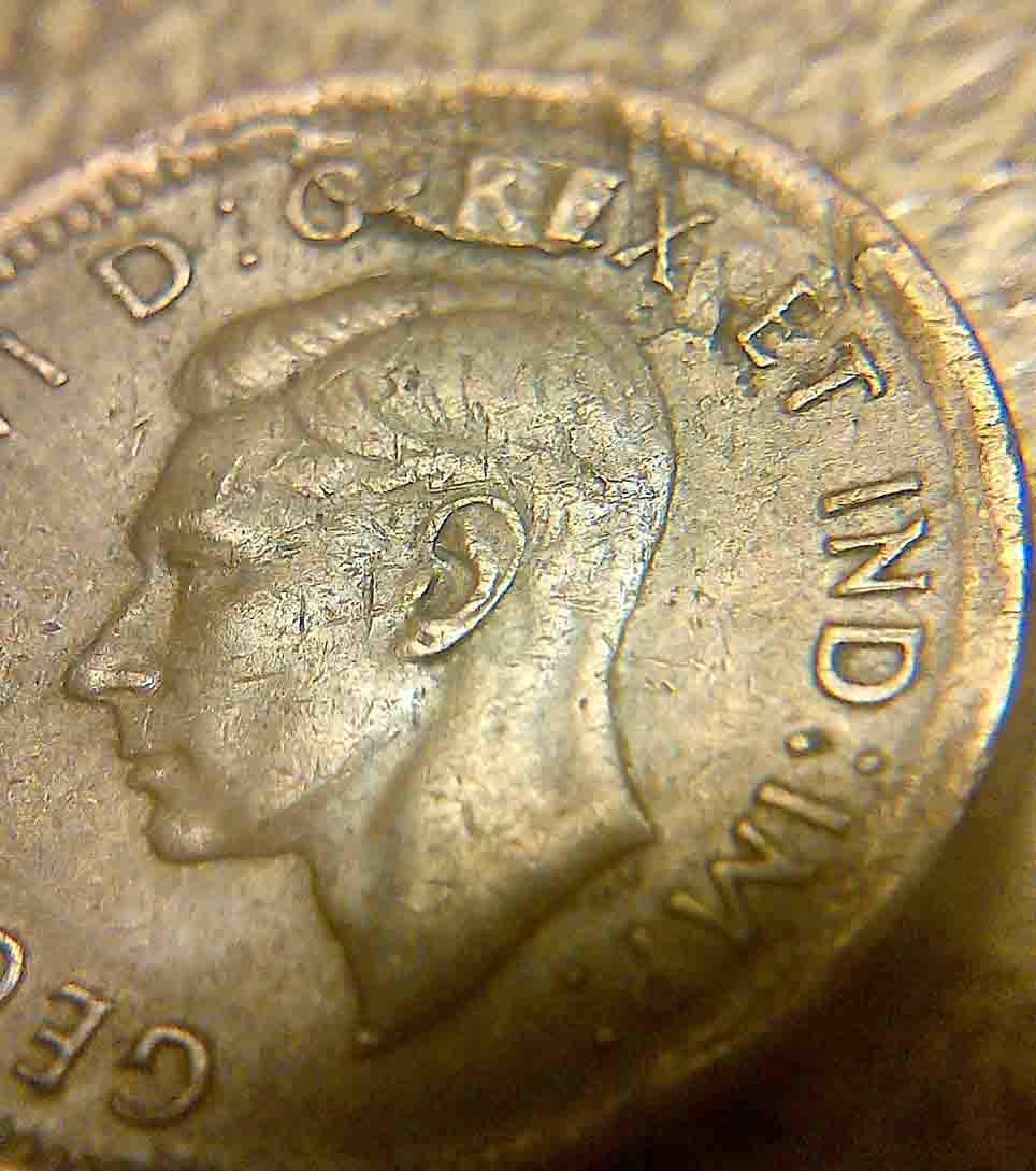 Some-New-Finds
