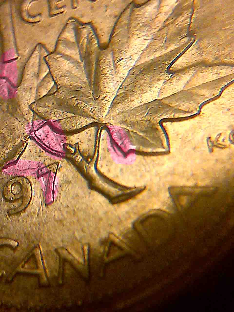 Some-New-Finds