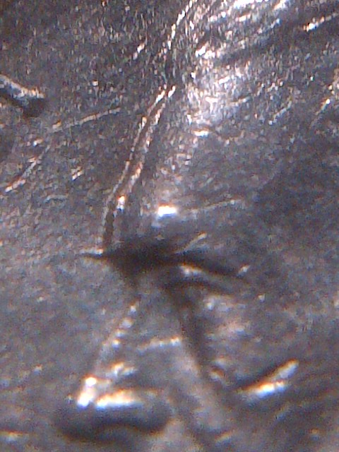 Found-This-Nickel