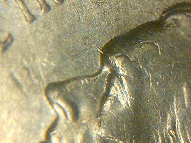 Found-This-Nickel