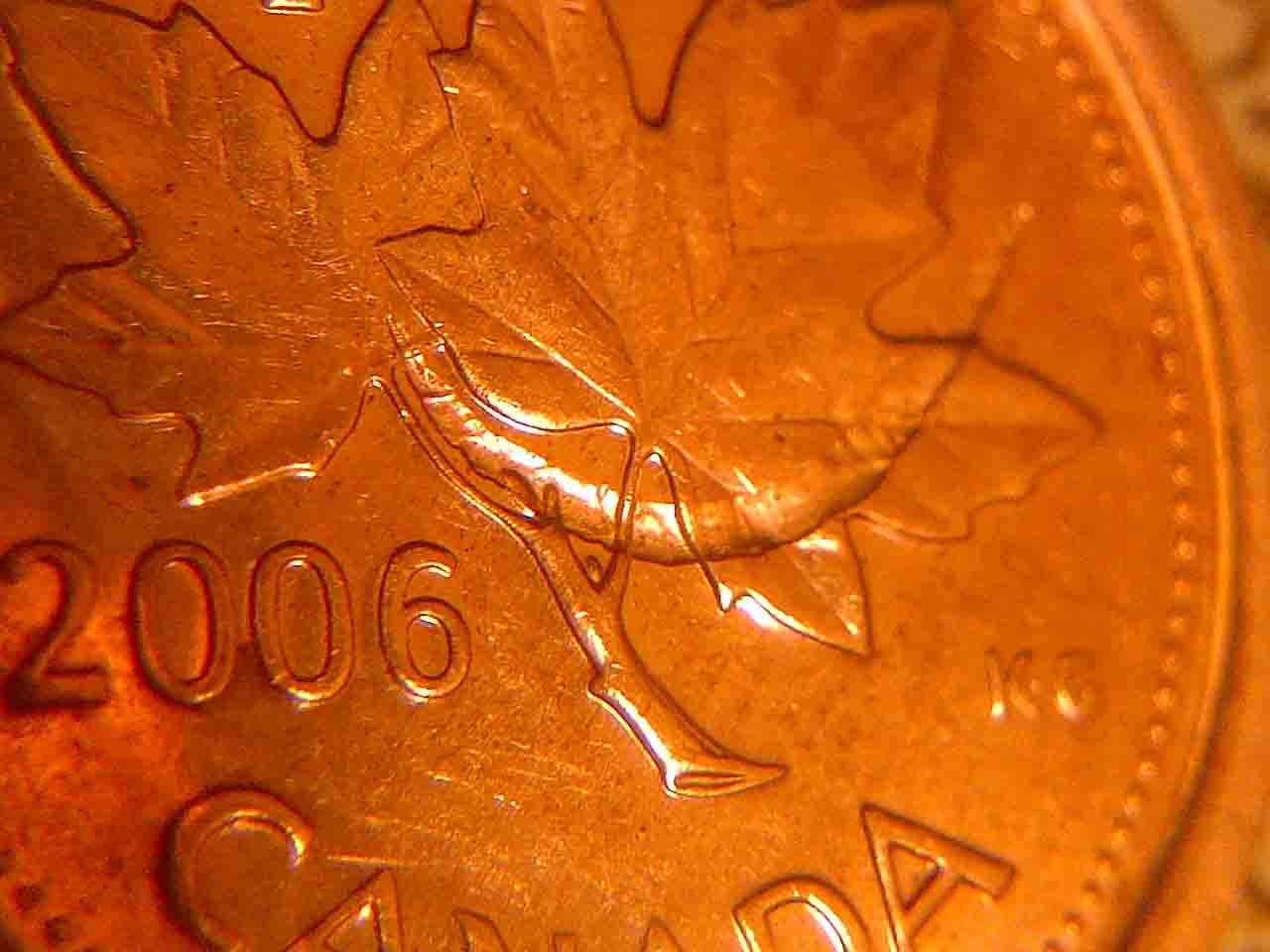 Anyone-Care-To-Give-Me-An-Answer-2006-Canadian-Penny