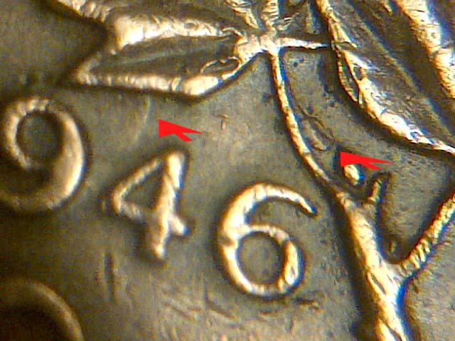 Some-New-Finds