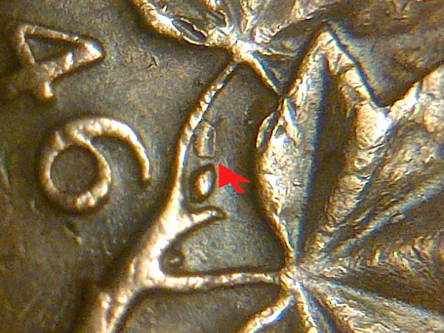Some-New-Finds