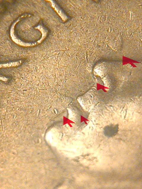Some-New-Finds