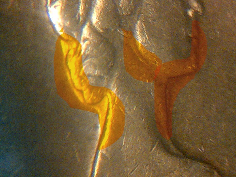 1974-Canadian-Pennie