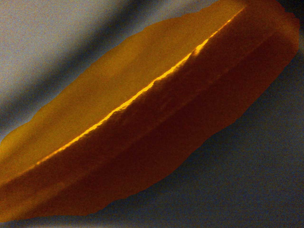 1970-Penny-Ripple-Effect?