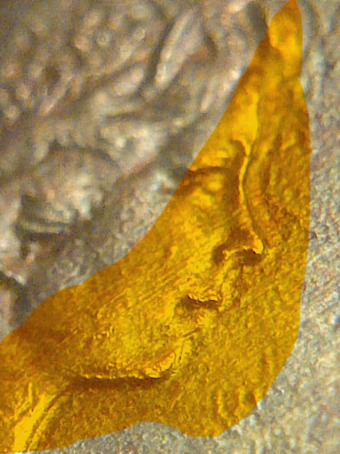 1970-Penny-Ripple-Effect?