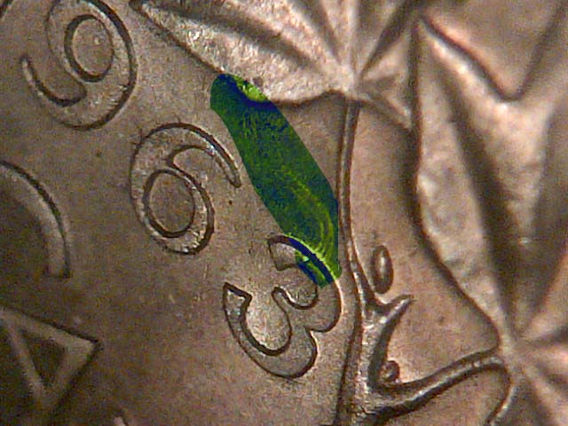 A-Few-New-Finds