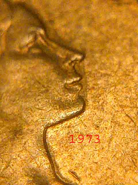 Some-New-Finds
