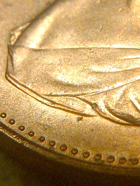 2-Canadian-Pennies-With-Triple-Chin--And-Quad-Chin-And-Nose
