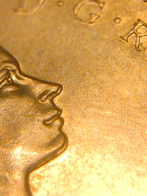 2-Canadian-Pennies-With-Triple-Chin--And-Quad-Chin-And-Nose