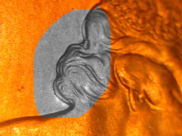 2-Canadian-Pennies-With-Triple-Chin--And-Quad-Chin-And-Nose