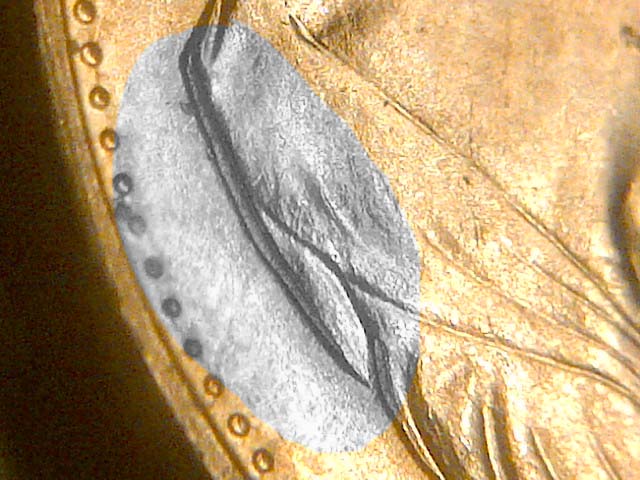 2-Canadian-Pennies-With-Triple-Chin--And-Quad-Chin-And-Nose