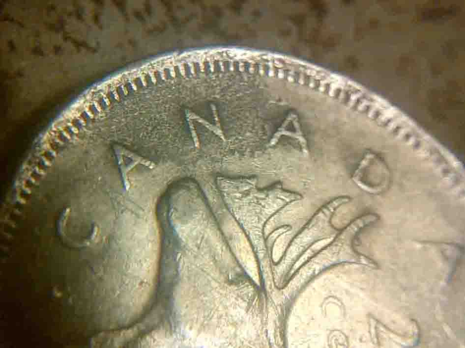 Are-These-Rippled-Coins?