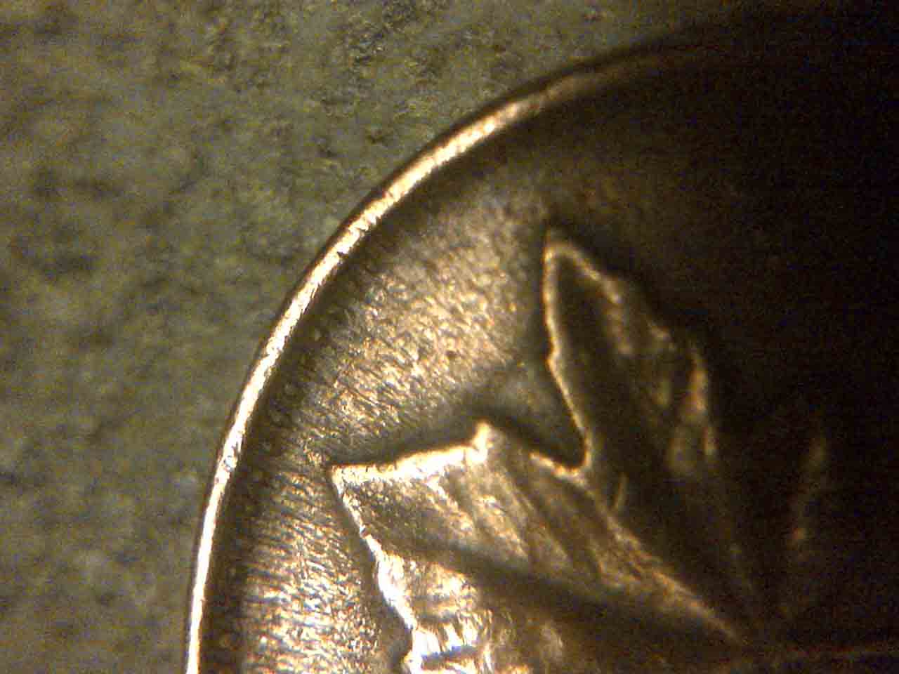 Are-These-Rippled-Coins?