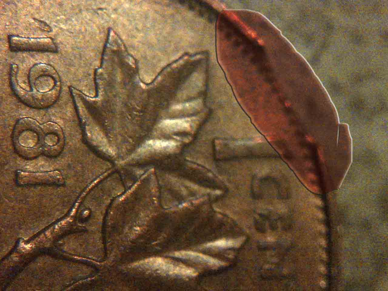 Clipped-Pennies