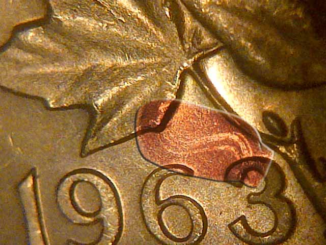 New-Finds